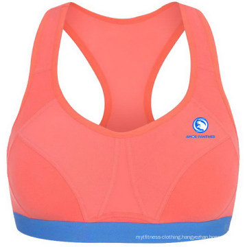 Custom Ladies High Impact Gym Sports Bra